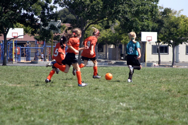 IMG_2501.jpgw800h533