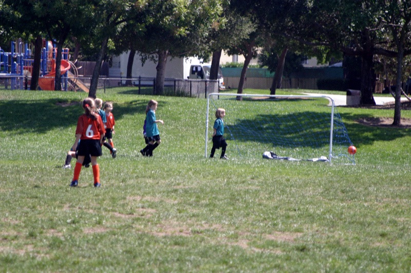 IMG_2508.jpgw800h531