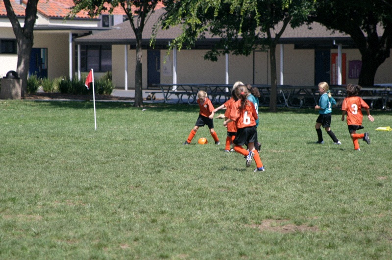 IMG_2510.jpgw800h531