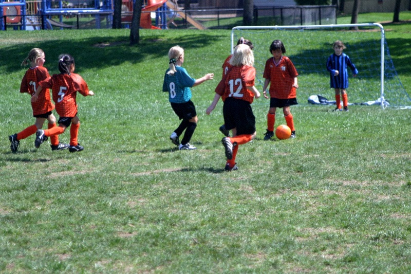 IMG_2528.jpgw800h533
