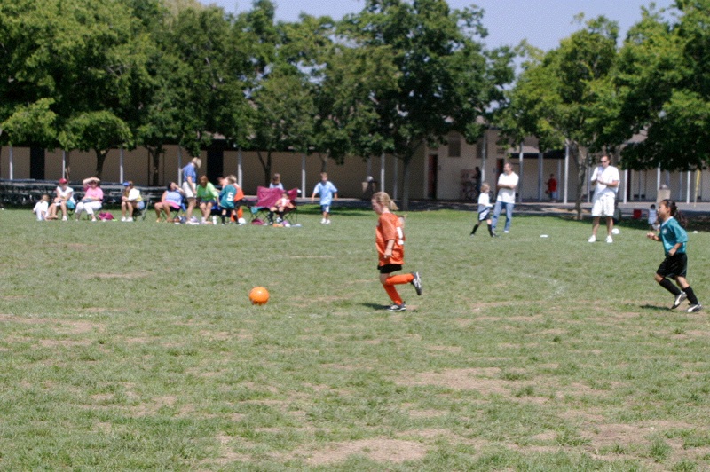 IMG_2531.jpgw800h532