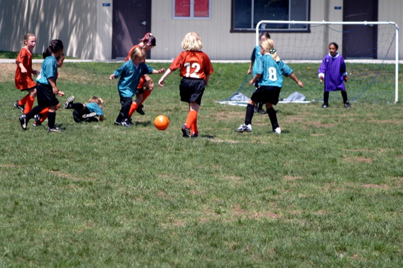 IMG_2532.jpgw800h533