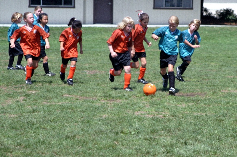 IMG_2533.jpgw800h533