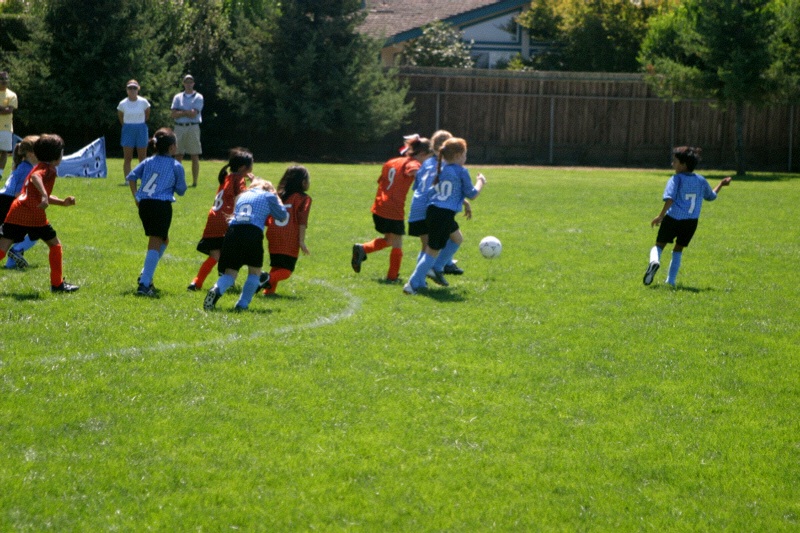 IMG_2652.jpgw800h533
