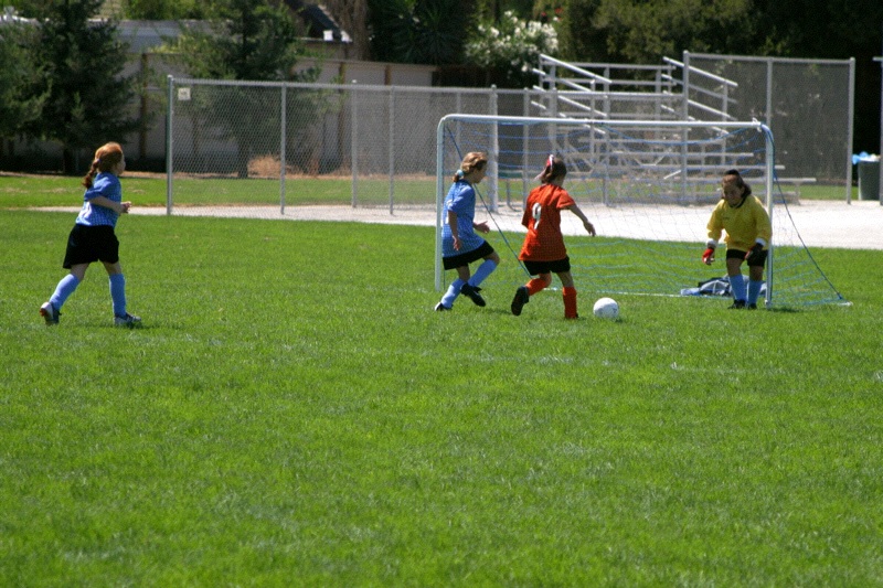 IMG_2658.jpgw800h533