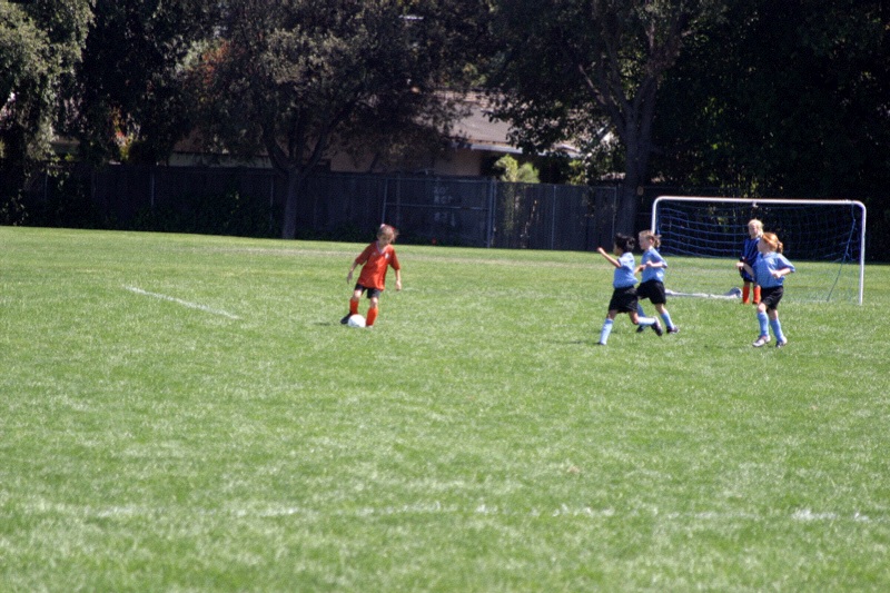 IMG_2667.jpgw800h533