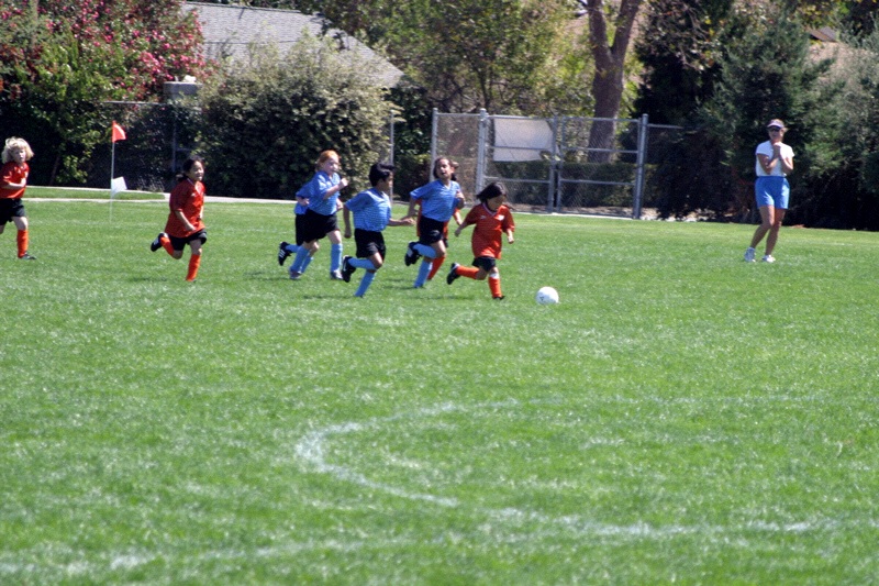 IMG_2669.jpgw800h533