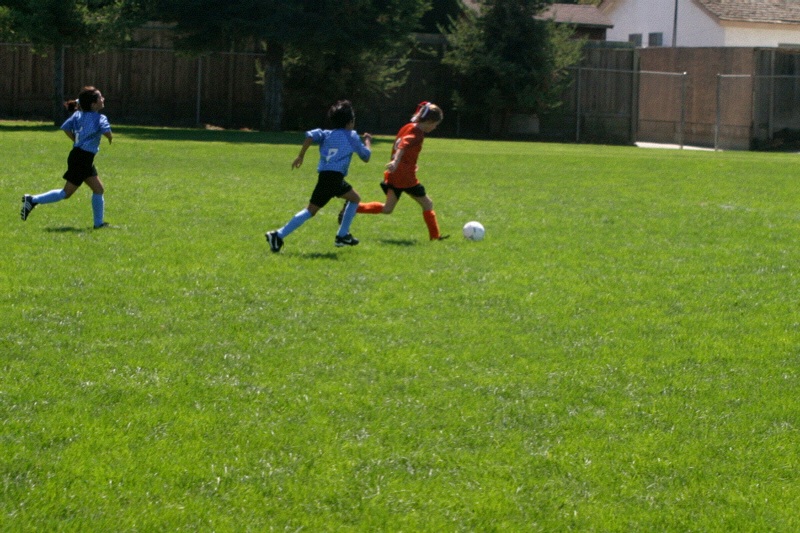 IMG_2688.jpgw800h533