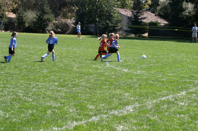 IMG_2695.jpgw800h532