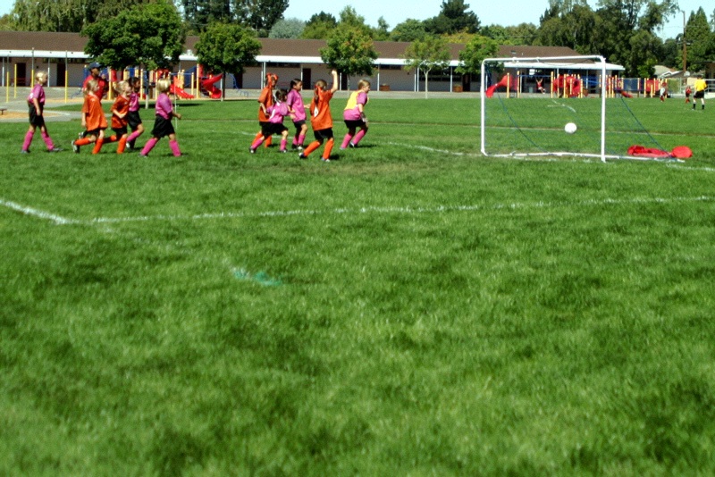 IMG_2727.jpgw800h534