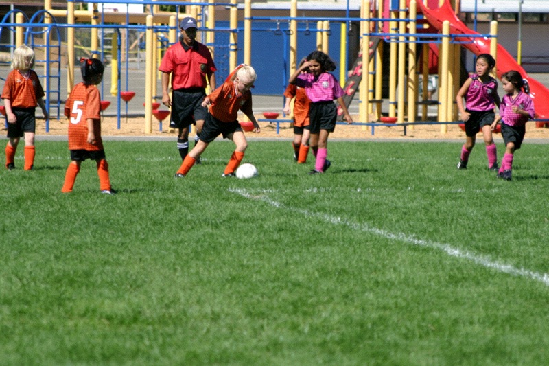 IMG_2729.jpgw800h533