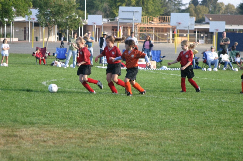 IMG_3011.jpgw800h531