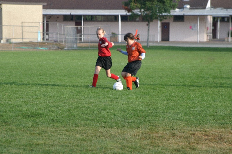 IMG_3012.jpgw800h531