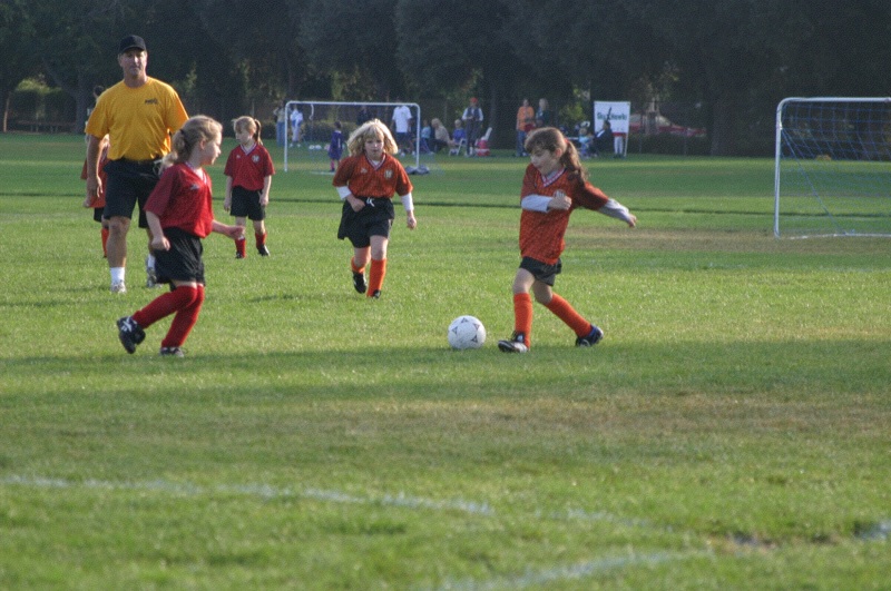 IMG_3013.jpgw800h531