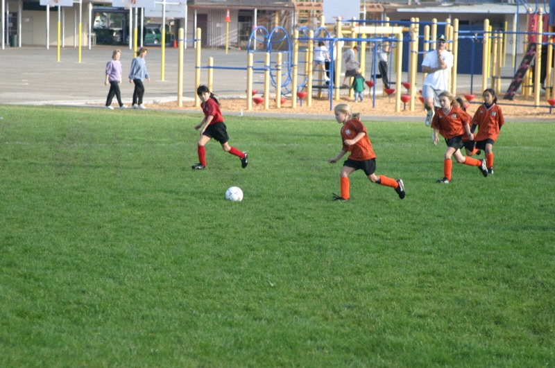 IMG_3015.jpgw800h531