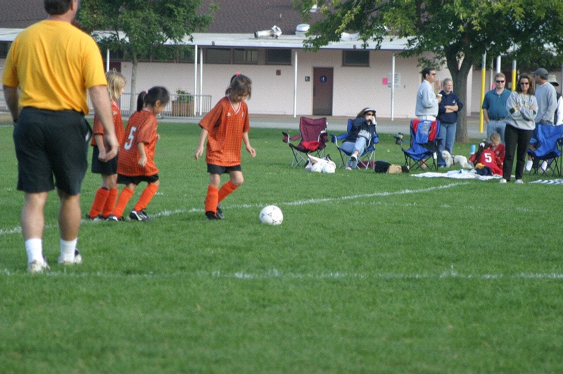 IMG_3022.jpgw800h531