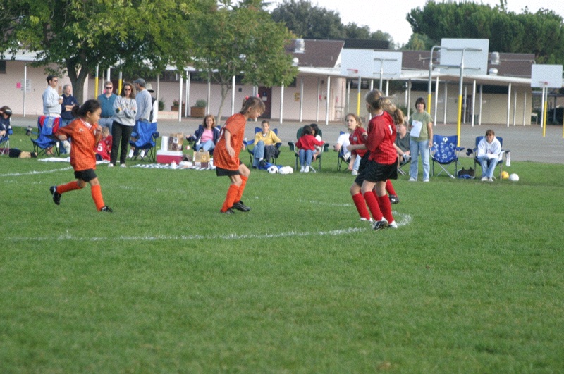 IMG_3023.jpgw800h531