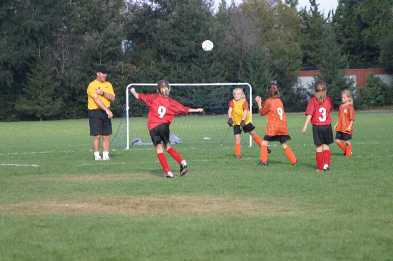 IMG_3027.jpgw800h531