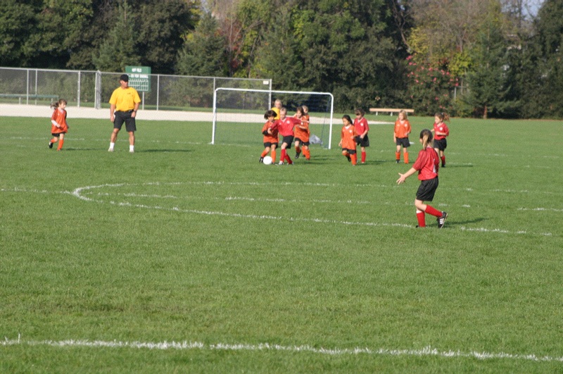 IMG_3038.jpgw800h531