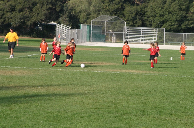 IMG_3042.jpgw800h531