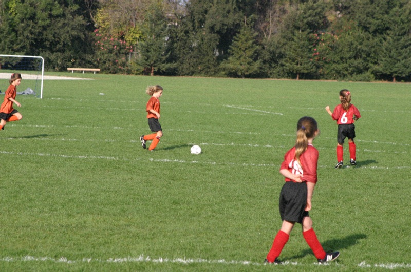 IMG_3043.jpgw800h531