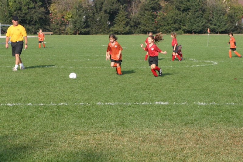 IMG_3044.jpgw800h533