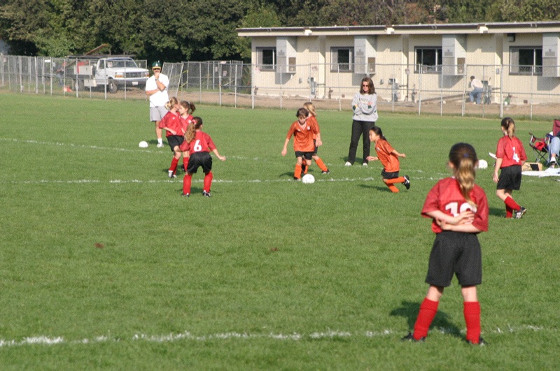 IMG_3049.jpgw800h531