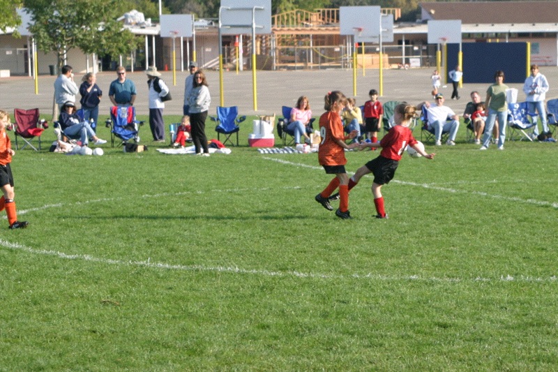 IMG_3051.jpgw800h533