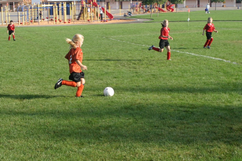 IMG_3054.jpgw800h533