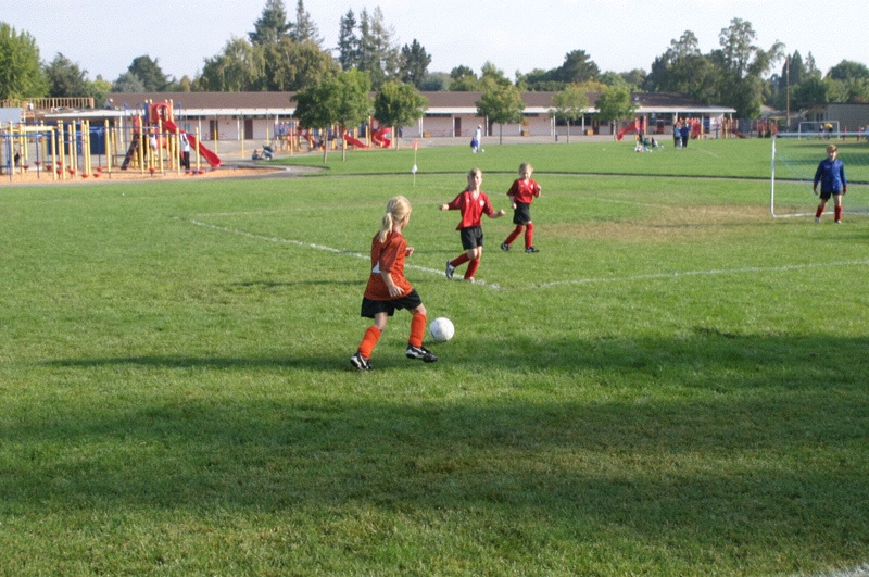 IMG_3055.jpgw800h531