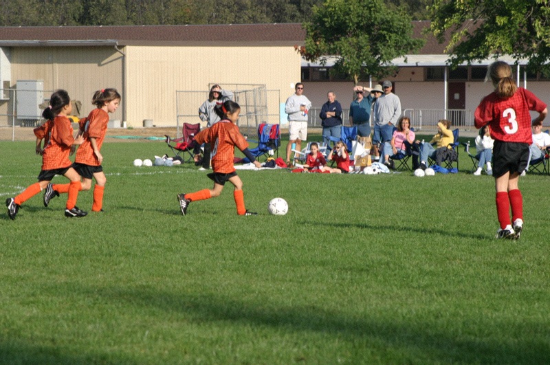 IMG_3059.jpgw800h531