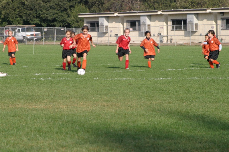 IMG_3060.jpgw800h533