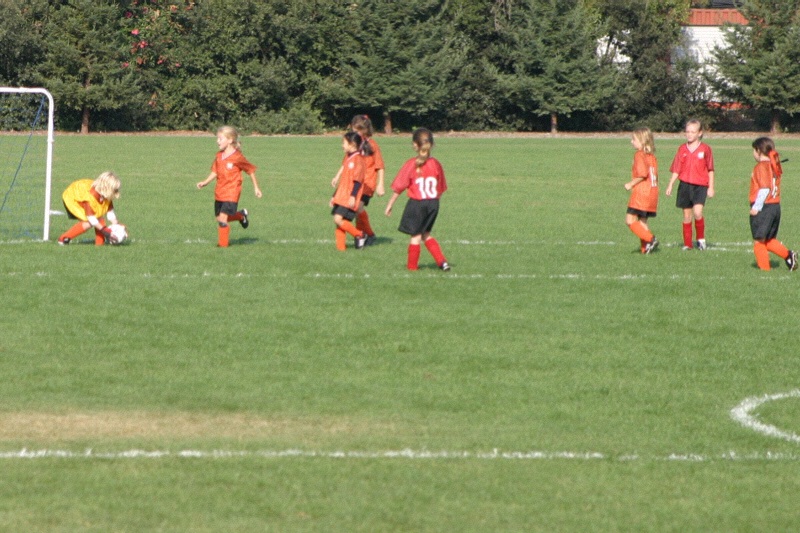 IMG_3066.jpgw800h533