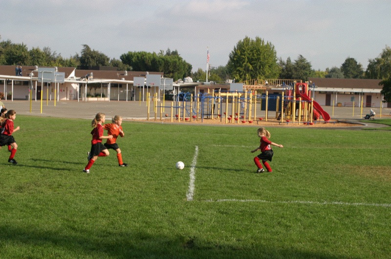 IMG_3071.jpgw800h531