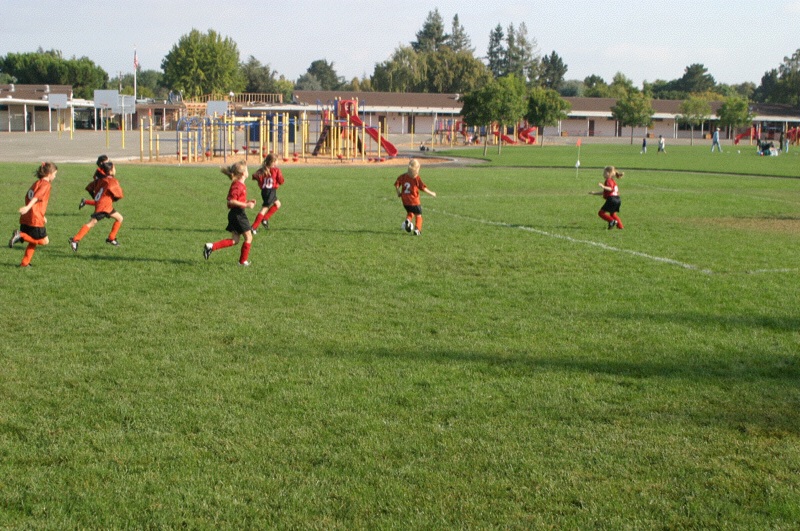 IMG_3077.jpgw800h531