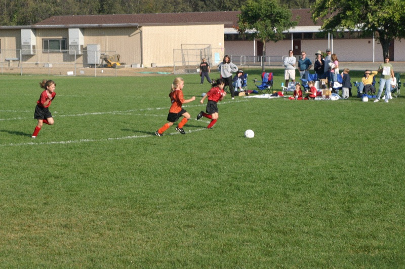 IMG_3079.jpgw800h531