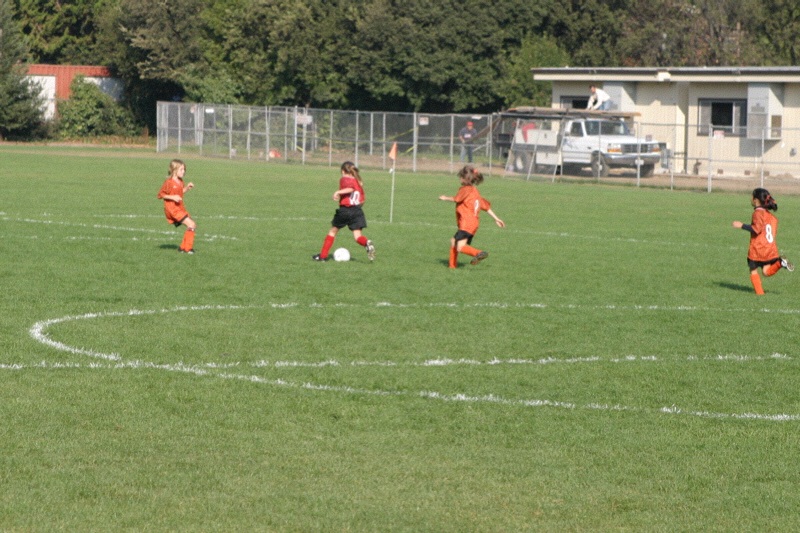 IMG_3081.jpgw800h533