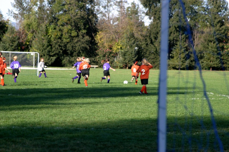 IMG_3352.jpgw800h533