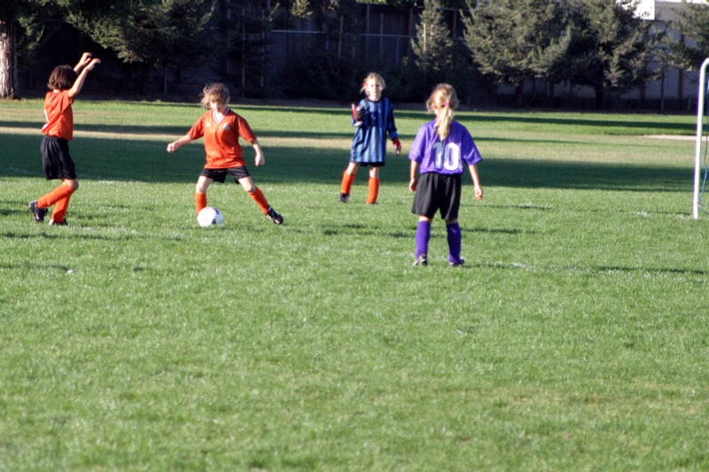 IMG_3358.jpgw800h533