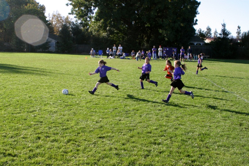 IMG_3360.jpgw800h533