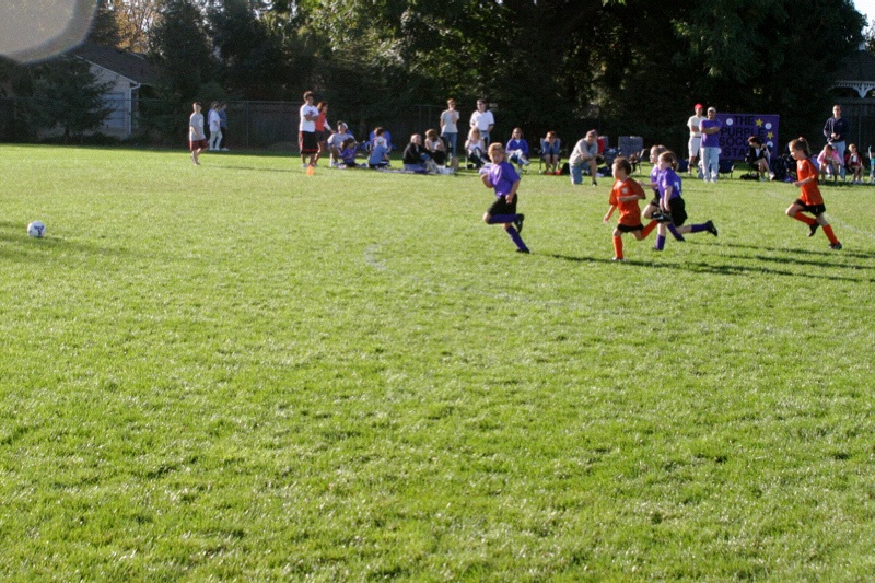 IMG_3362.jpgw800h533