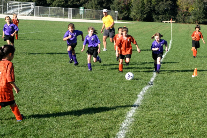 IMG_3370.jpgw800h533