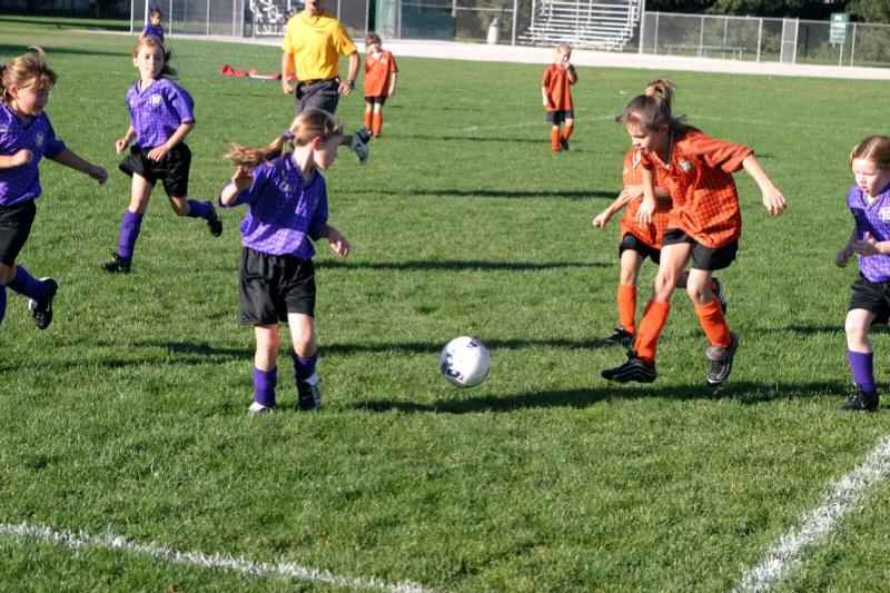 IMG_3372.jpgw800h533