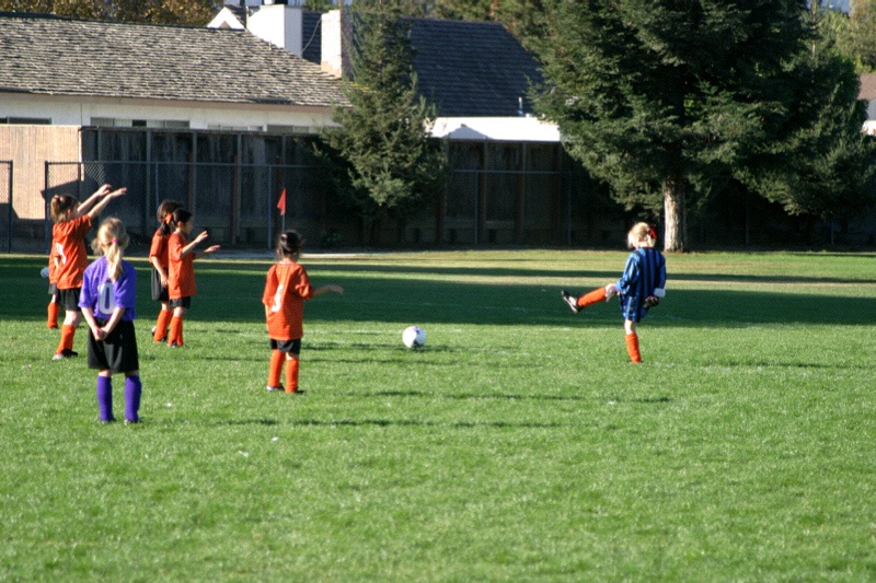 IMG_3373.jpgw800h533