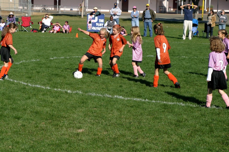 IMG_3502.jpgw800h533