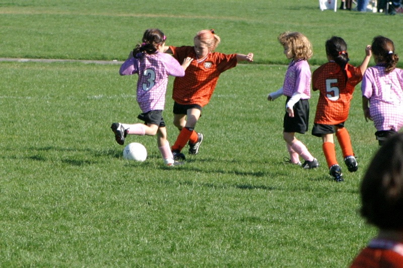 IMG_3509.jpgw800h533