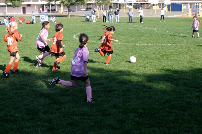 IMG_3513.jpgw800h532