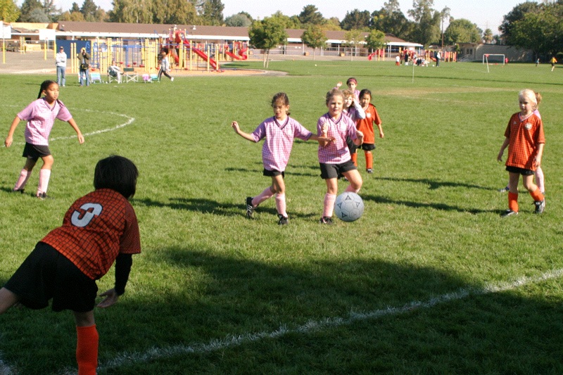 IMG_3514.jpgw800h533