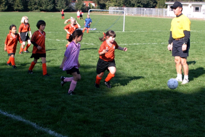 IMG_3516.jpgw800h533