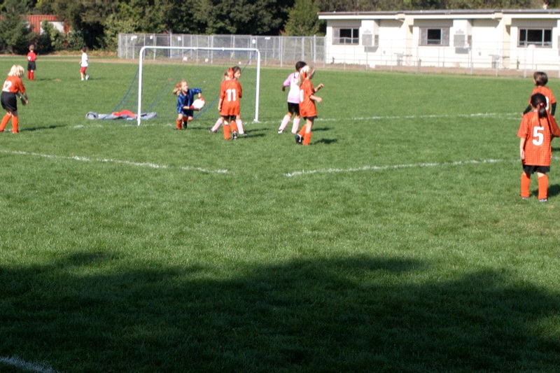IMG_3519.jpgw800h533